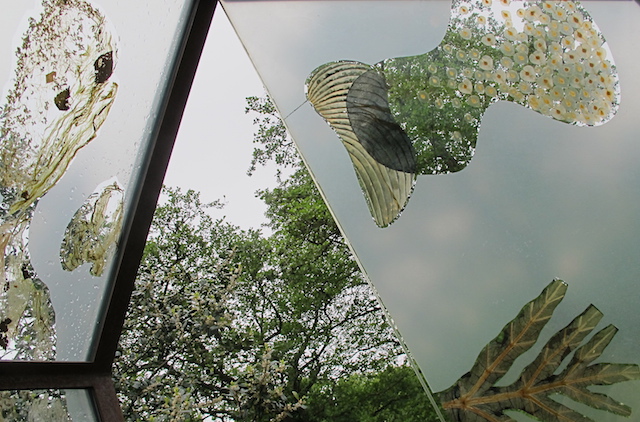 greenhouse for a human being 1999 detail with elm seeds hosta and algues